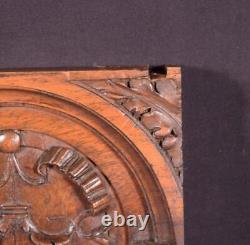 16 Tall French Antique Highly Carved Louis XVI Panel in Walnut Wood Salvage