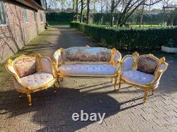 1950 French Louis XVI Corbeille Sofa and Bergere Chairs Set