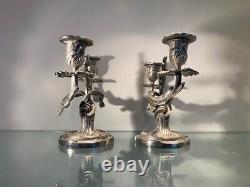 19th Century French Antique Silvered Bronze Pair of Candlesticks, Louis XV Style