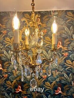 19th Century French Gilt Bronze CRYSTAL CAGE CHANDELIER / Pampille