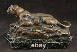 Antique French Antoine-Louis Barye Bronze Panther of Tunisia, 7 x 3 3/8 t