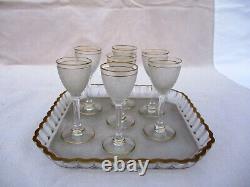 Antique French Baccarat St Louis 6 Frosted Crystal Liquor Glasses Service & Tray