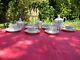 Antique French Empire Marie Antoinette Louis Xvi Tea Coffee Set 16 Pcs Limoges