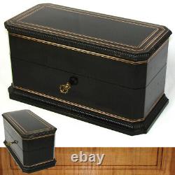 Antique French Louis Philippe to Napoleon III 12.5 Tea Caddy, Chest, Tea Boxes
