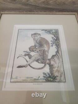 Antique French Louis Simon Lempereur Malbrouck Monkey Engraving 16x14 Print