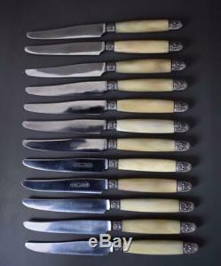 Antique French Louis XVI Style Horn Handle Knife Set of 24 Knives & Carving Set