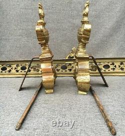 Antique French Louis XVI style fireplace set 19th century made of bronze lion