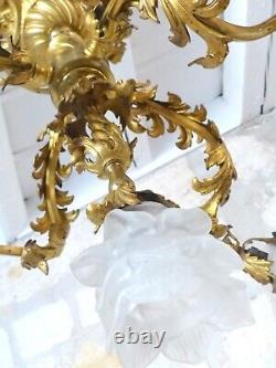 Excpt Large French Gilded Bronze Louis XV Rococo Chandelier 5 fires Shades 19TH
