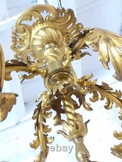 Excpt Large French Gilded Bronze Louis XV Rococo Chandelier 5 fires Shades 19TH