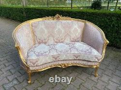 Exquisite 1900's French Louis XVI Corbeille Settee in Pink Damask