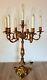 Extra Large Vintage French Brass Seven-light Candelabra, Louis Xv Style ++++++