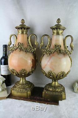 HUGE PAIR XL french onyx marble Swan louis XVI bronze ornament urns vases 1920