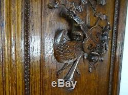 Large French Antique ArchitecturalCarved Solid Oak Wood Door Panel Louis XVI
