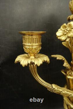 Large Pair Of Candleholders Louis XVI Style Era 19th Bronze French Antique