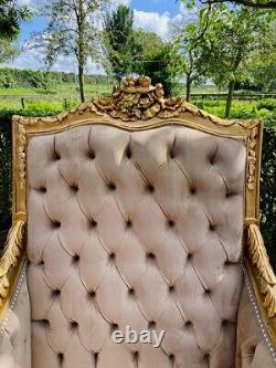 Majestic French Louis XVI Sofa Set in Luxe Tan Velvet Antique Luxury