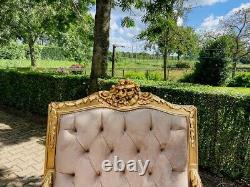 Majestic French Louis XVI Sofa Set in Luxe Tan Velvet Antique Luxury