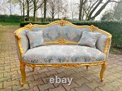 Opulent Antique French Louis XVI Corbeille Sofa Early 1900s