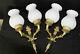 Pair French Empire White Louis Xv Glass Shades Bronze Swan Wall Lights Sconces