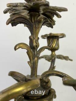 Pair Large French Louis XV Rococo Bronzed Ormolu 4-Light Candelabra Candlesticks