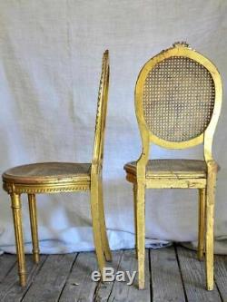 Pair of 18th Century Louis XVI gilded cane chairs