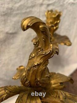 Pair of 18th or 19th Century French Louis XV Ormolu Gilt Bronze Candelabra