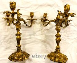 Pair of Antique French 19th Century Gilt Bronze Louis XV Style Candelabra