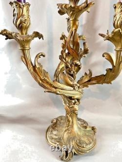Pair of Antique French Louis XV Bronze Candelabras 19th Century
