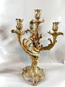 Pair of Antique French Louis XV Bronze Candelabras 19th Century