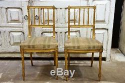 Pair of French Louis XVI style gilded chairs small chairs