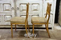 Pair of French Louis XVI style gilded chairs small chairs